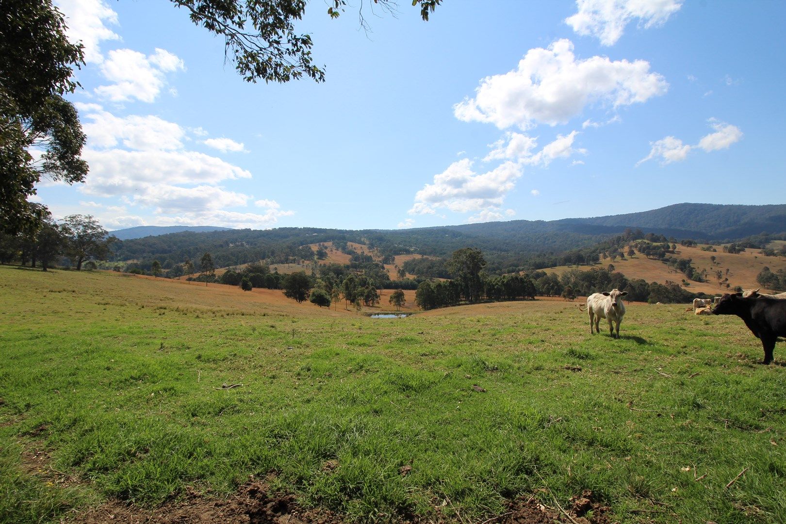 1524 Chichester Dam Road, Dungog NSW 2420, Image 0