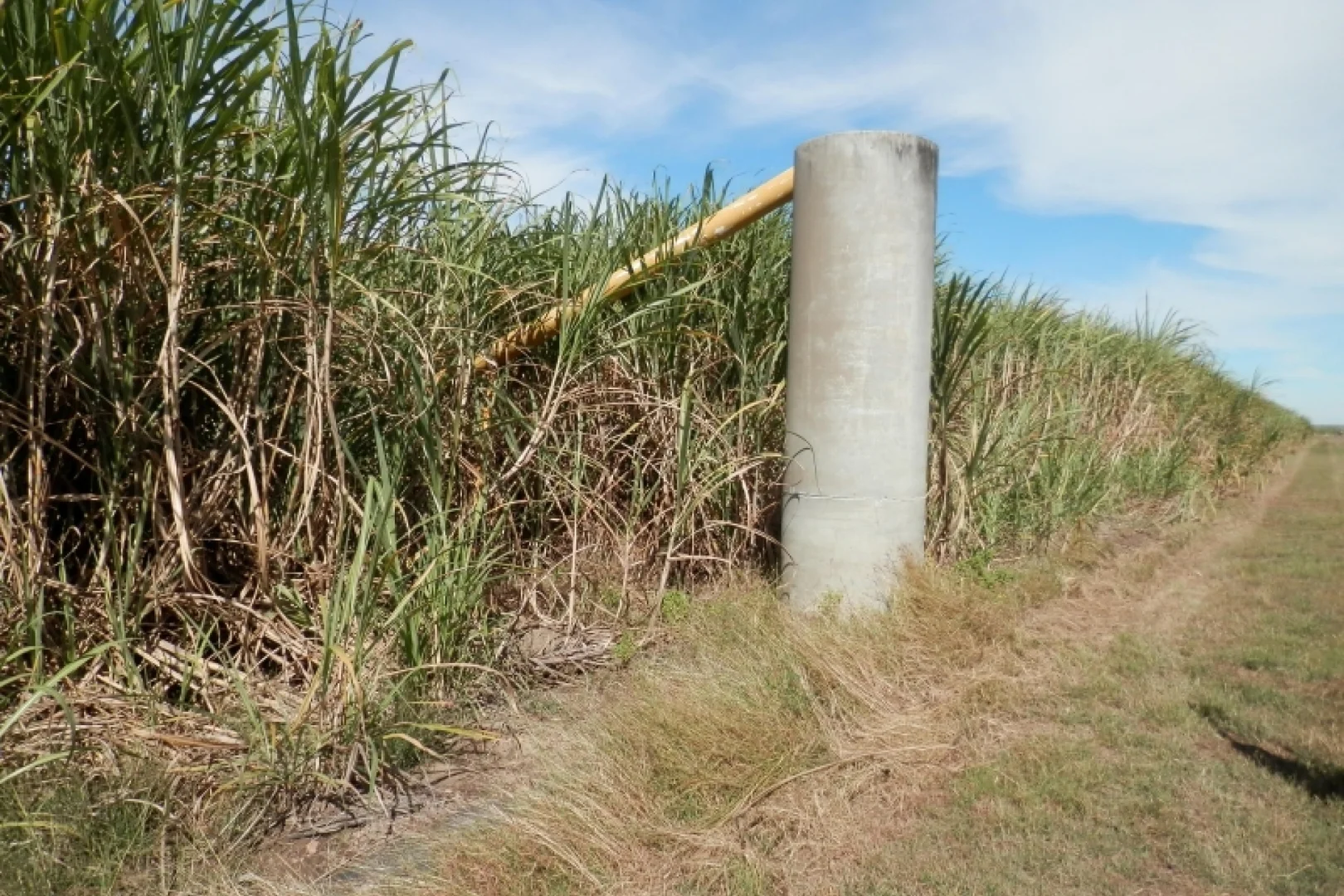 Image 17