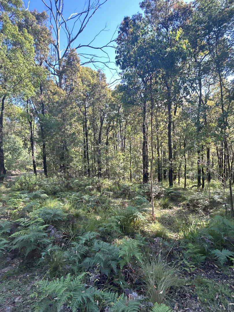 Image 6