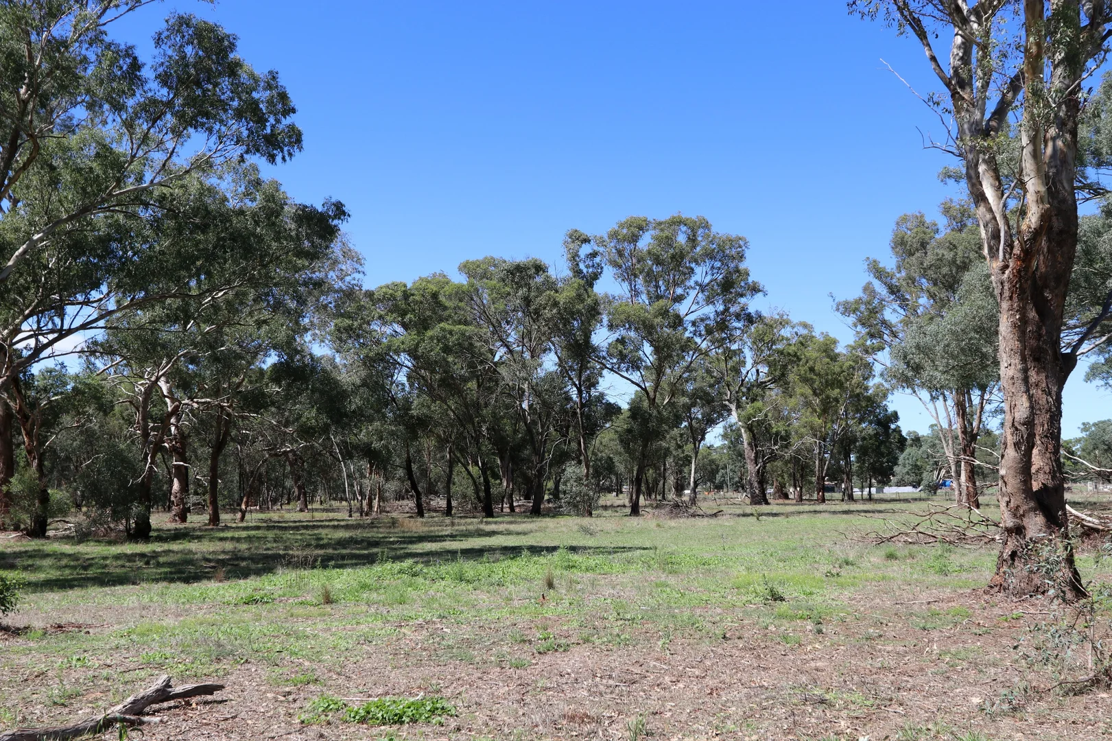 Additional image 6 of 52 BENDICK MURRELL ROAD, Bendick Murrell via, Young NSW 2594