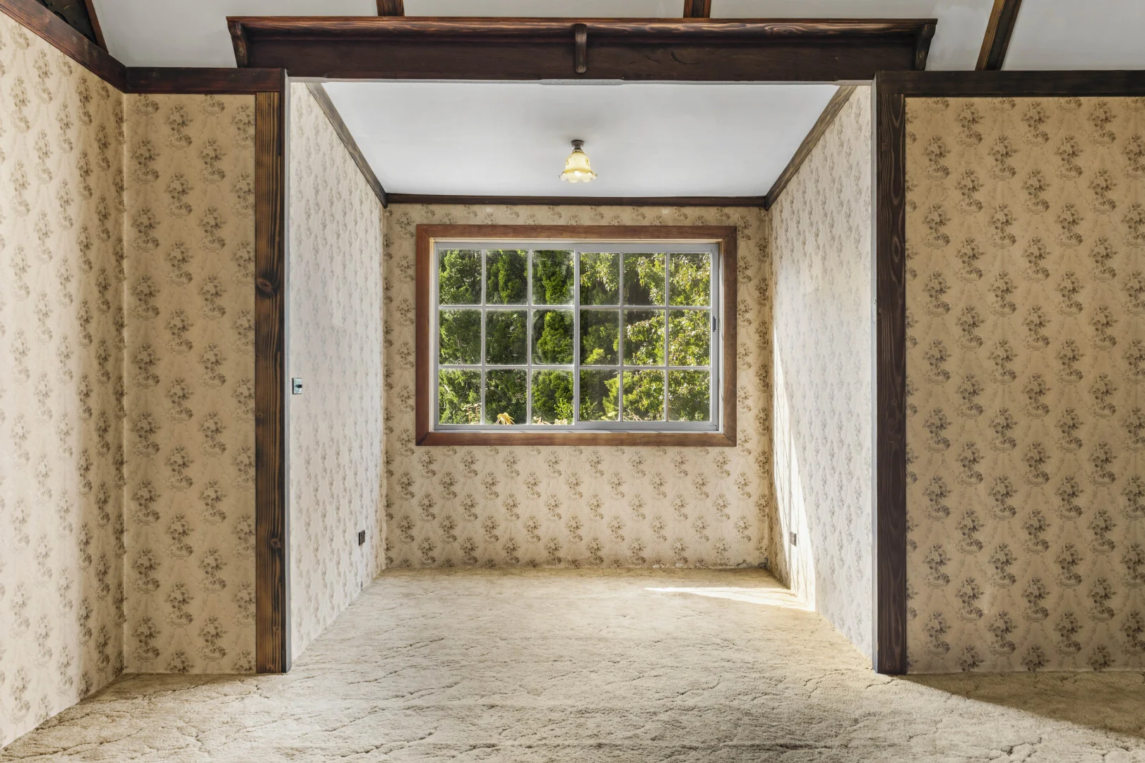 Additional image 10 of 52 Braithwaite Road, Tacoma NSW 2259