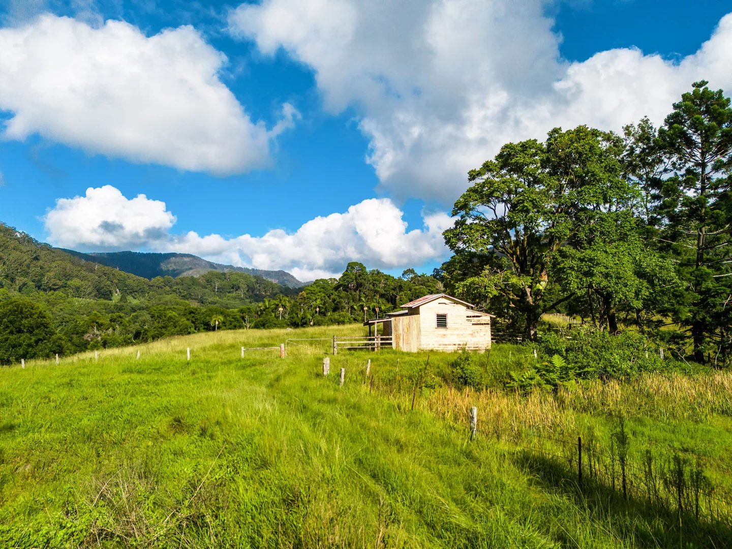 Additional image 26 of 1028 Wilsons Creek Road, Wilsons Creek NSW 2482