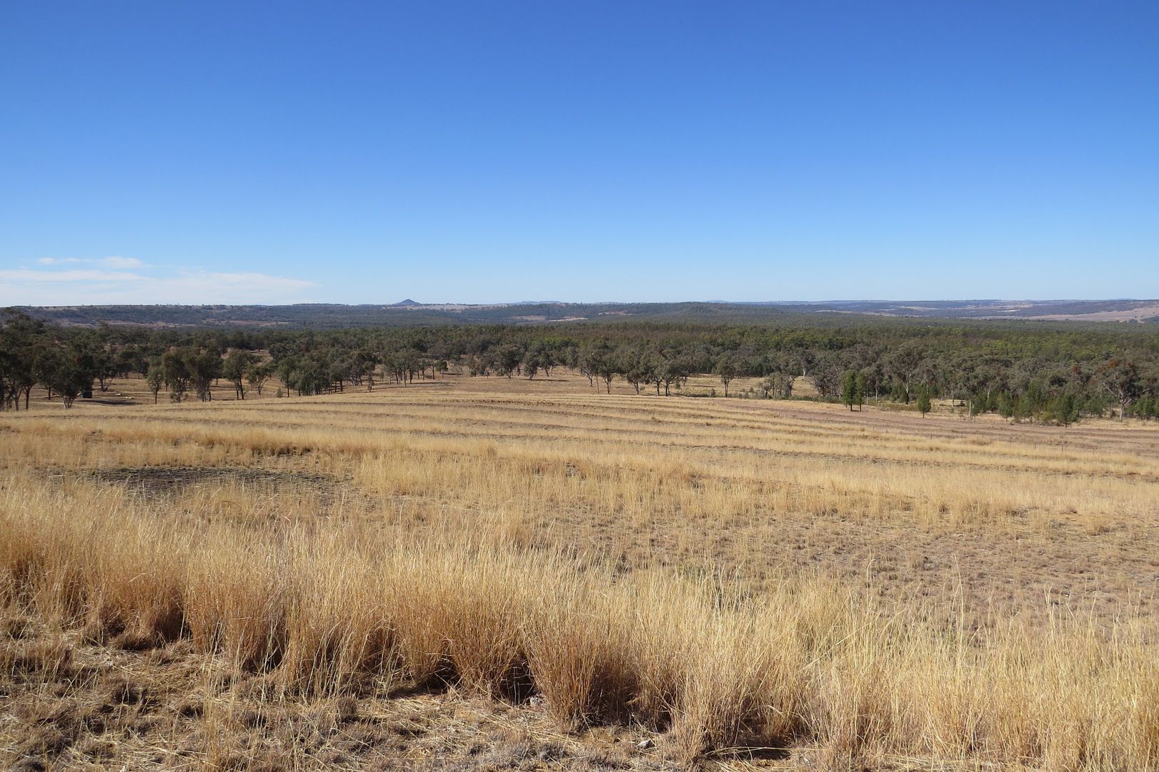 Lot 29 Burundah Mt Estate, Warialda NSW 2402, Image 1