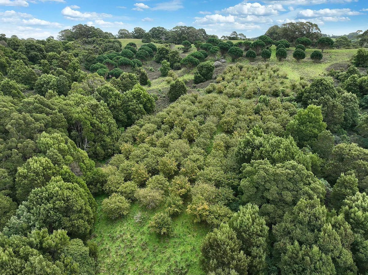 Additional image 19 of 110 Staffords Road, Johanna VIC 3238