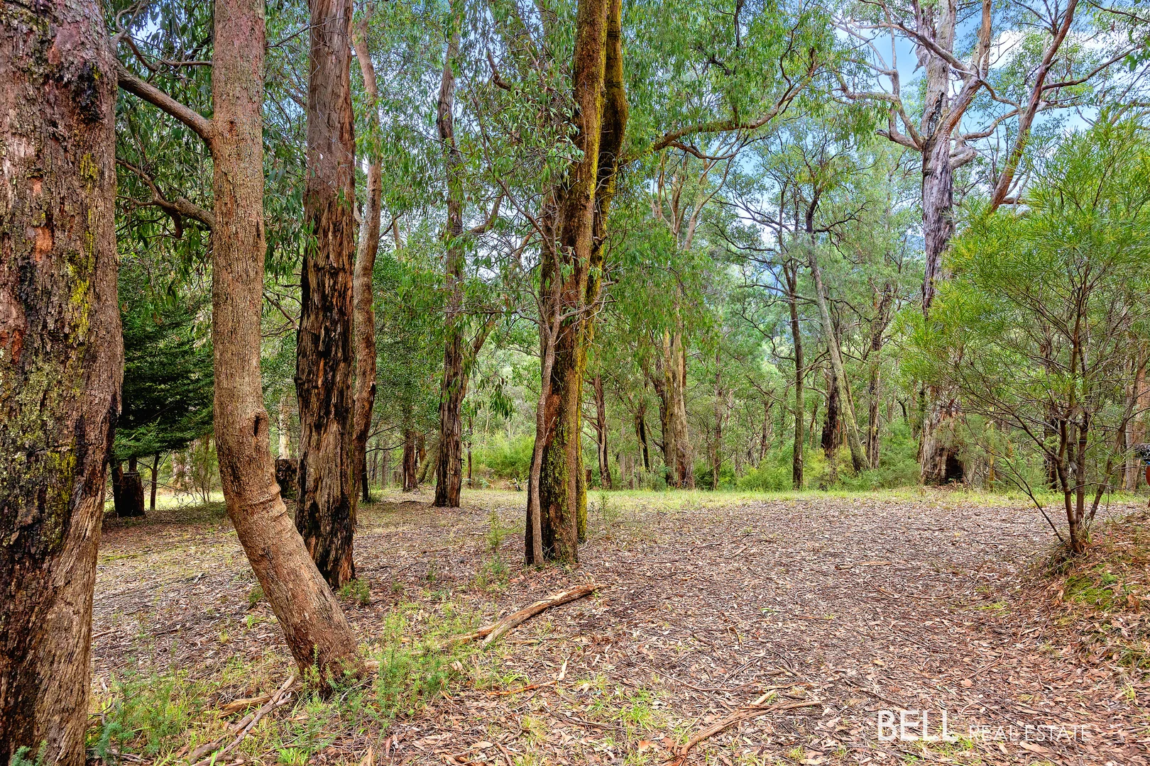 Additional image 6 of 3 Summit Close, East Warburton VIC 3799