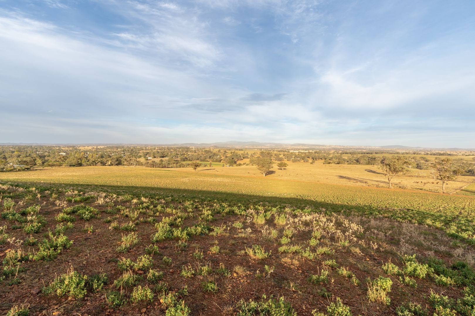 Cudal NSW 2864 House for Sale 310,000 Domain