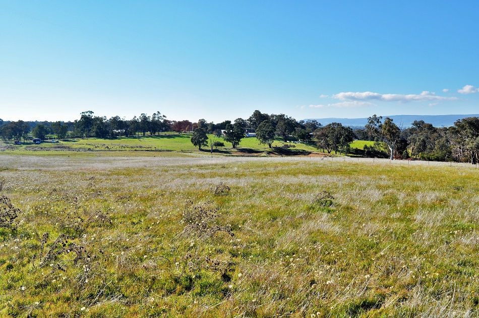 Lots 183 & 184 - McLeod Street, Gerogery NSW 2642, Image 0