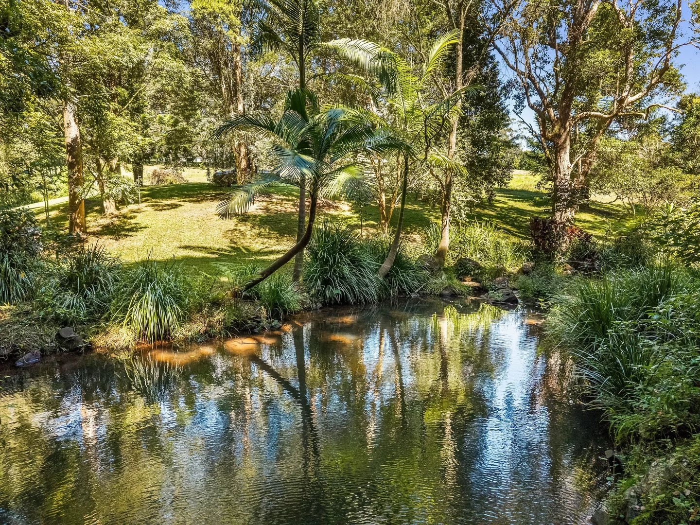 Additional image 3 of 120 Alstonvale Road, Alstonvale NSW 2477