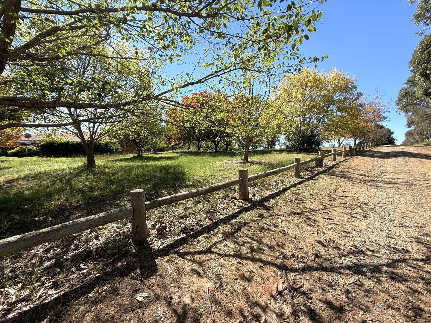 Additional image 13 of 216 Good Friday Gully Road Maimuru via, Young NSW 2594