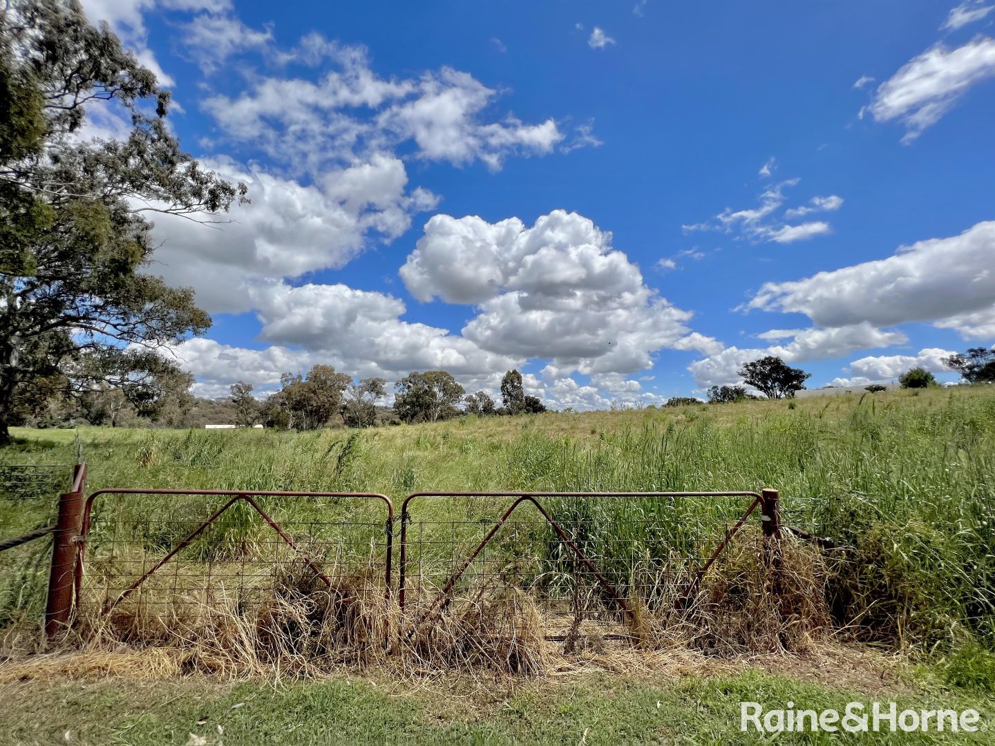 Lot 1809/84 James Lane, Young NSW 2594, Image 2