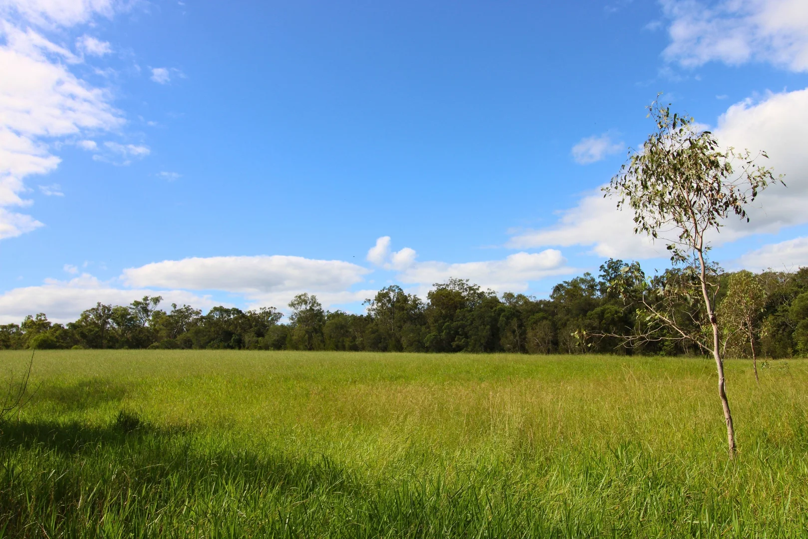 Additional image 6 of Lot 1344 Redhill Farms Road, Redhill Farms QLD 4671