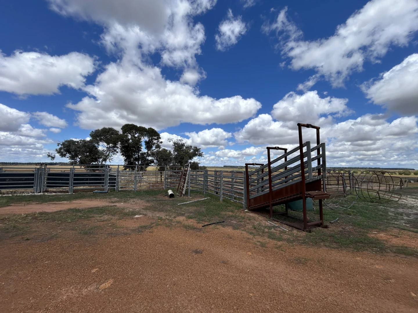 Image 11