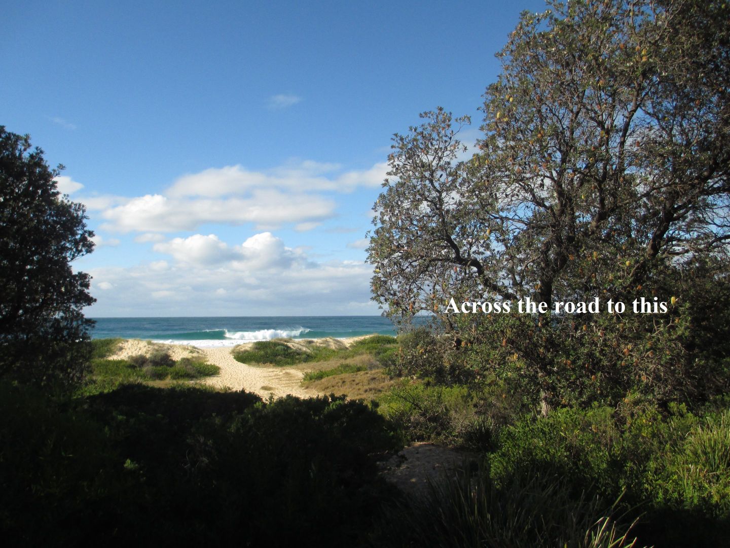 Site 612 Big 4 East Dolphin Beach Holiday Park, Moruya Heads NSW 2537, Image 1