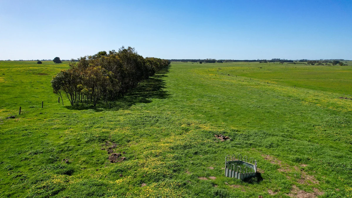 Additional image 33 of 170 Allans Road, Framlingham VIC 3265