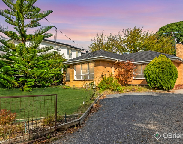 16 Jolimont Road, Forest Hill VIC 3131