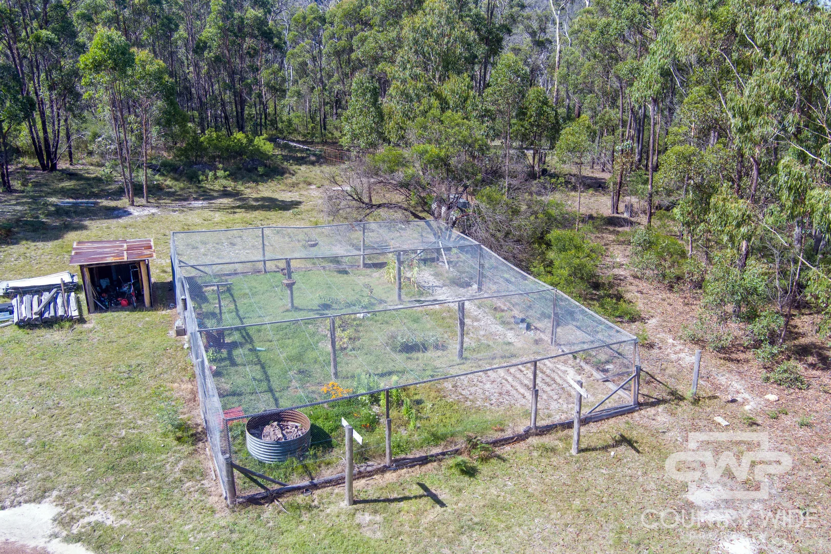 Image 11