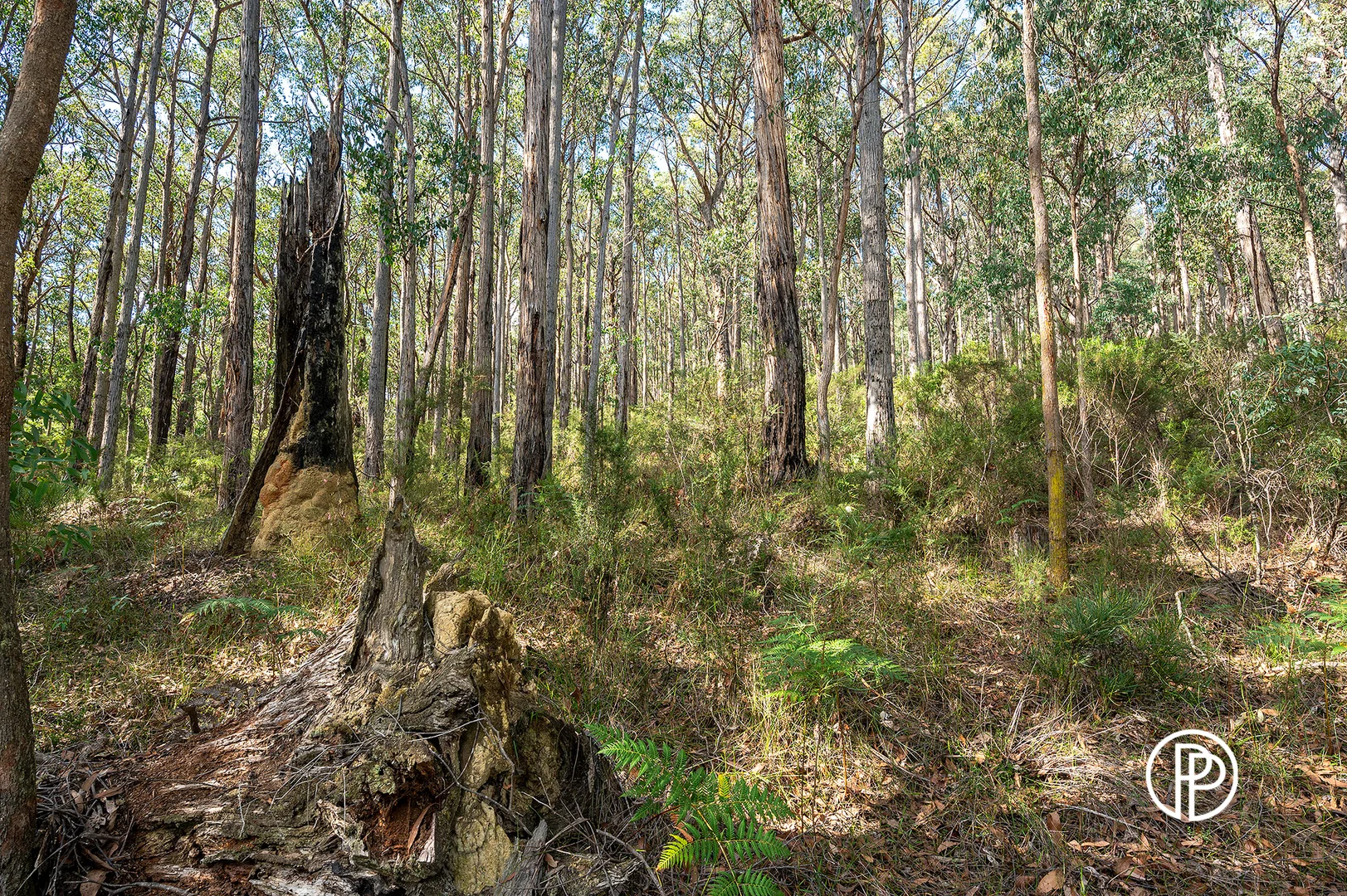 Image 15