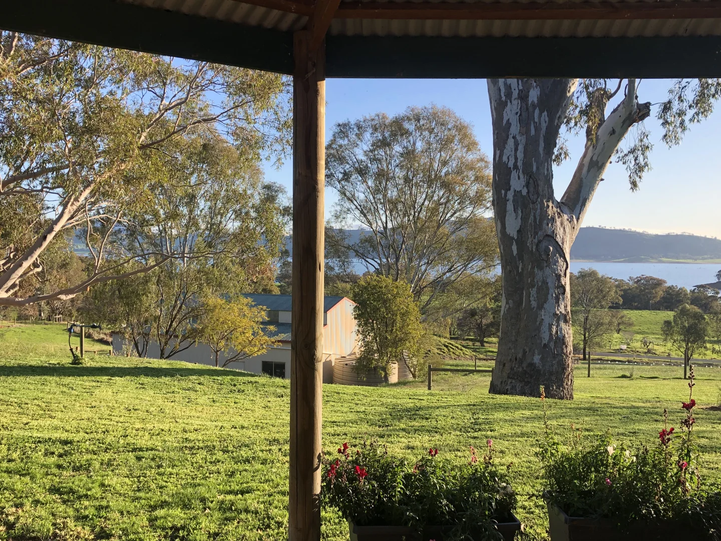 Additional image 18 of 851 Lake Road, Bethanga VIC 3691