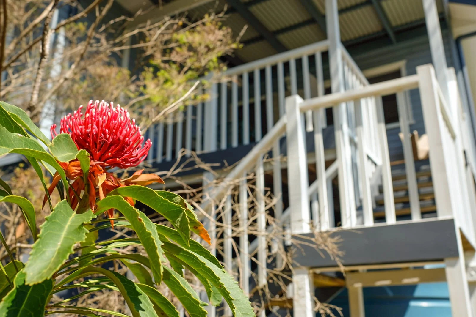 Additional image 10 of 24 Murri St, Blackheath NSW 2785