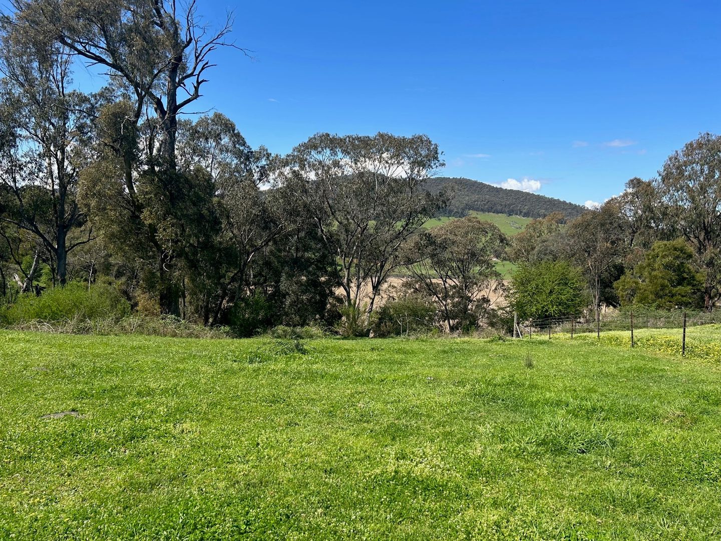 Swasbrick Road, Eskdale VIC 3701, Image 1