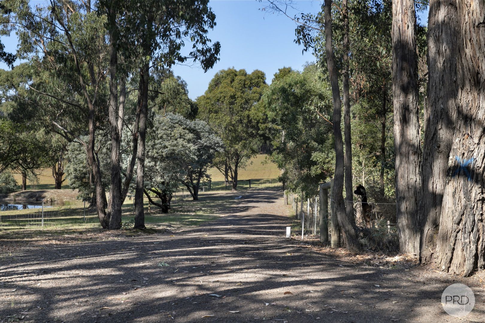 Lot 2/956 Pittong-Snake Valley Road, Snake Valley VIC 3351, Image 2