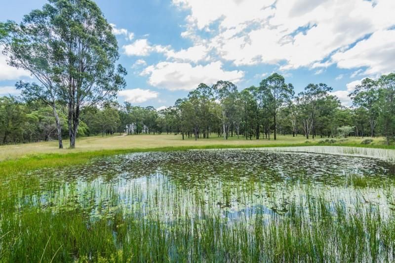 262 Sandy Swamp Road, COUTTS CROSSING NSW 2460, Image 1