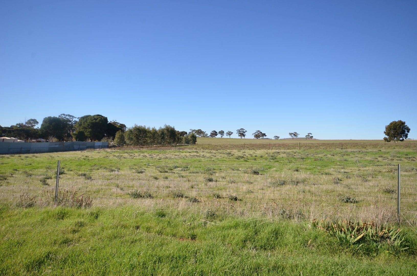 Lot 4 Globe Street, Auburn SA 5451, Image 1