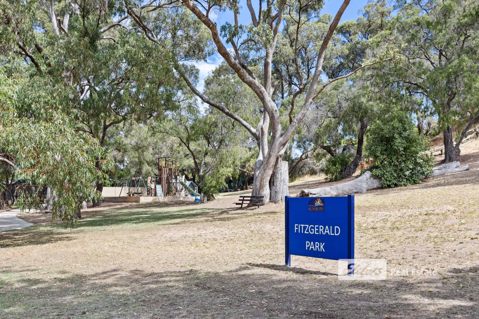 Image 19
