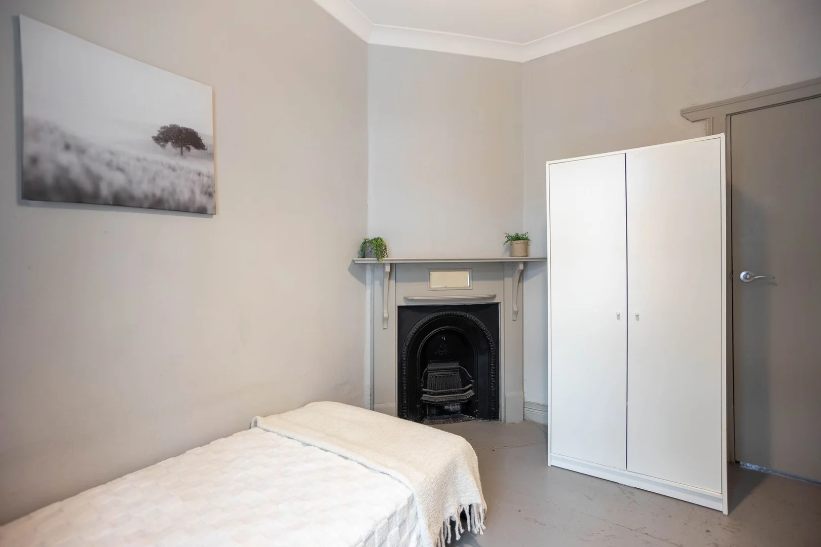 Additional image 8 of 21 Terry St, Surry Hills NSW 2010