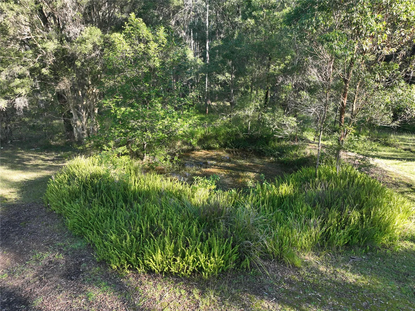 Image 24