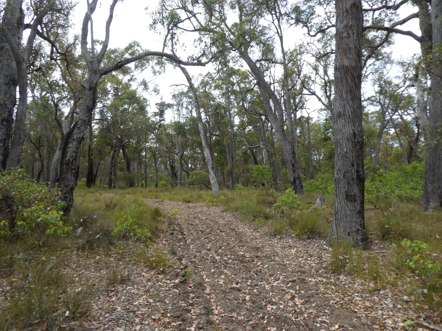 Lot 350 Muir Highway, Rocky Gully WA 6397, Image 0