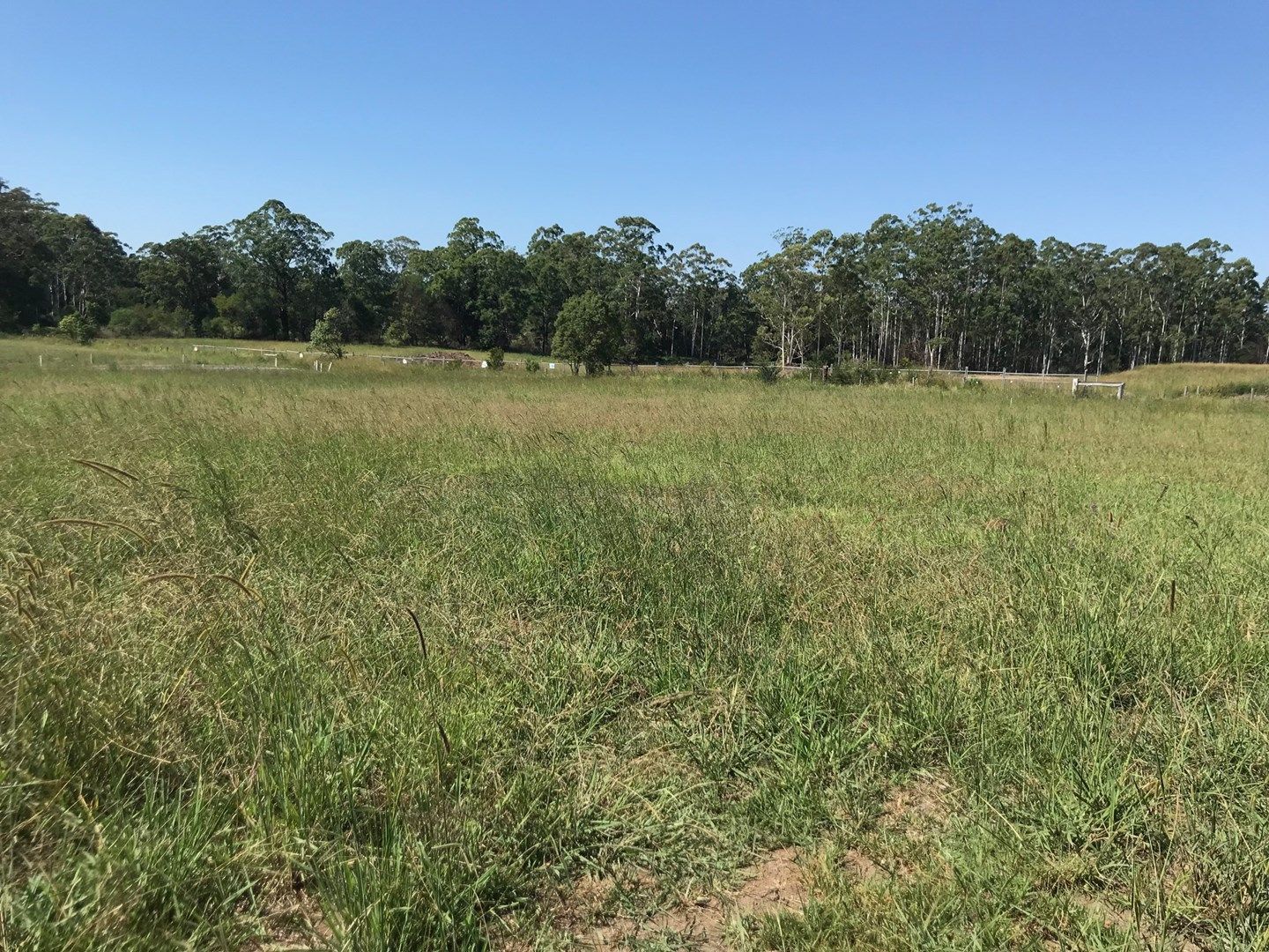 Lot 37 Stage 1 Beechwood Meadows, Beechwood NSW 2446, Image 1