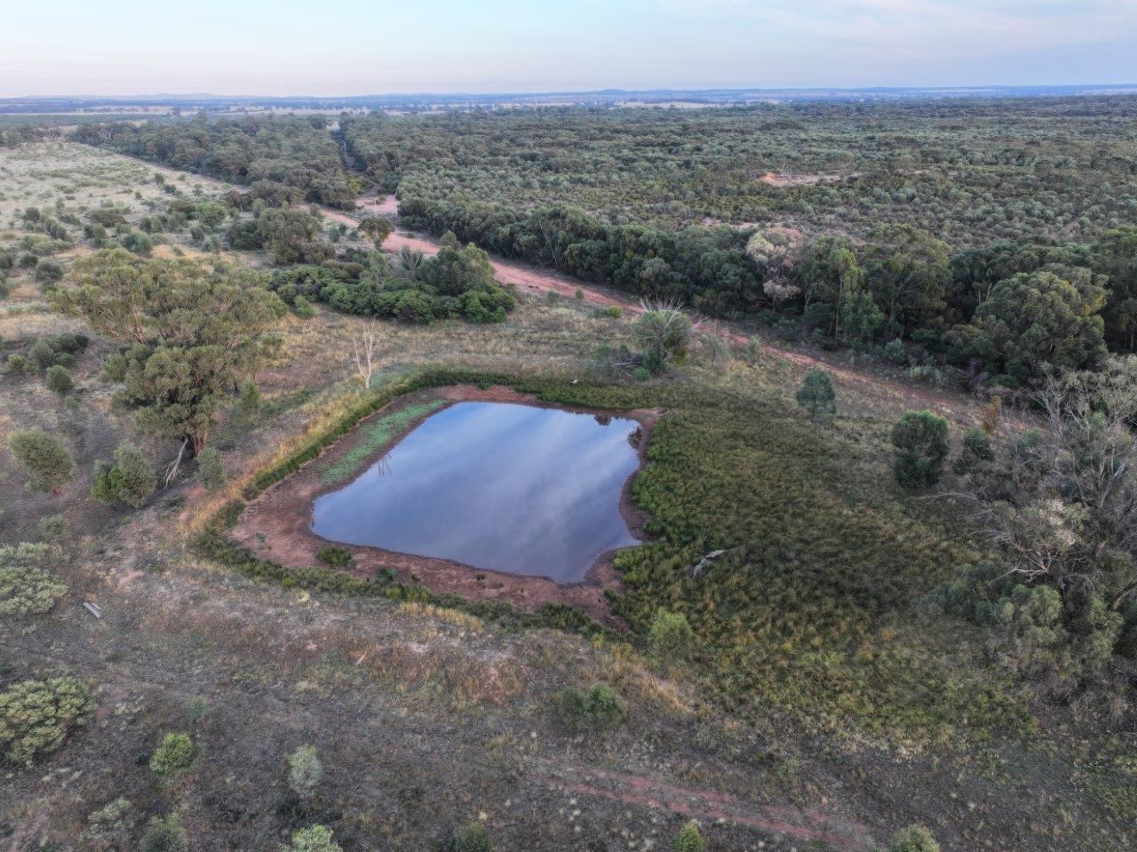 'Heathwren' 788 Buddigower Road, Alleena NSW 2671, Image 0