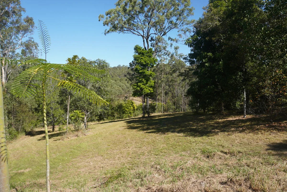 Image 45