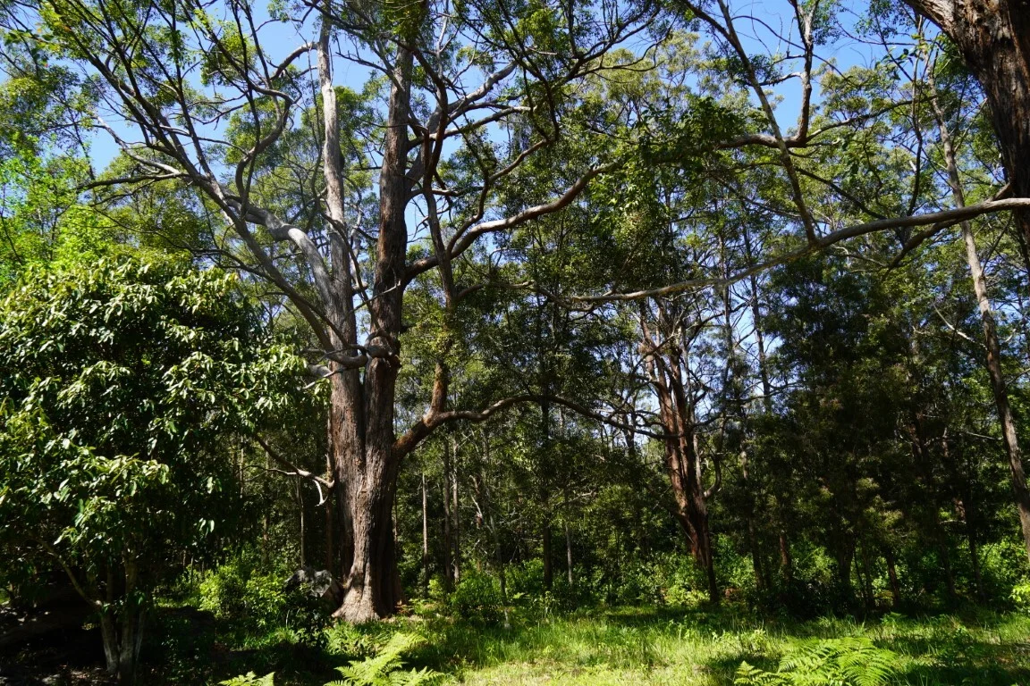 Image 10
