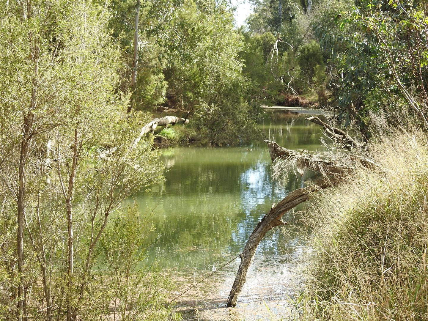 Mundubbera QLD 4626, Image 2
