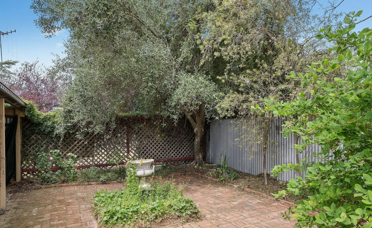 Image 13