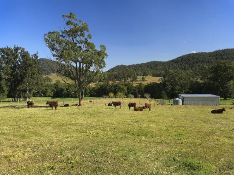 84 Coppermine Creek Road, STROUD NSW 2425, Image 2