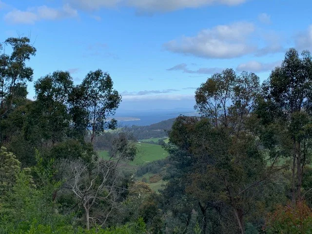 Image 15