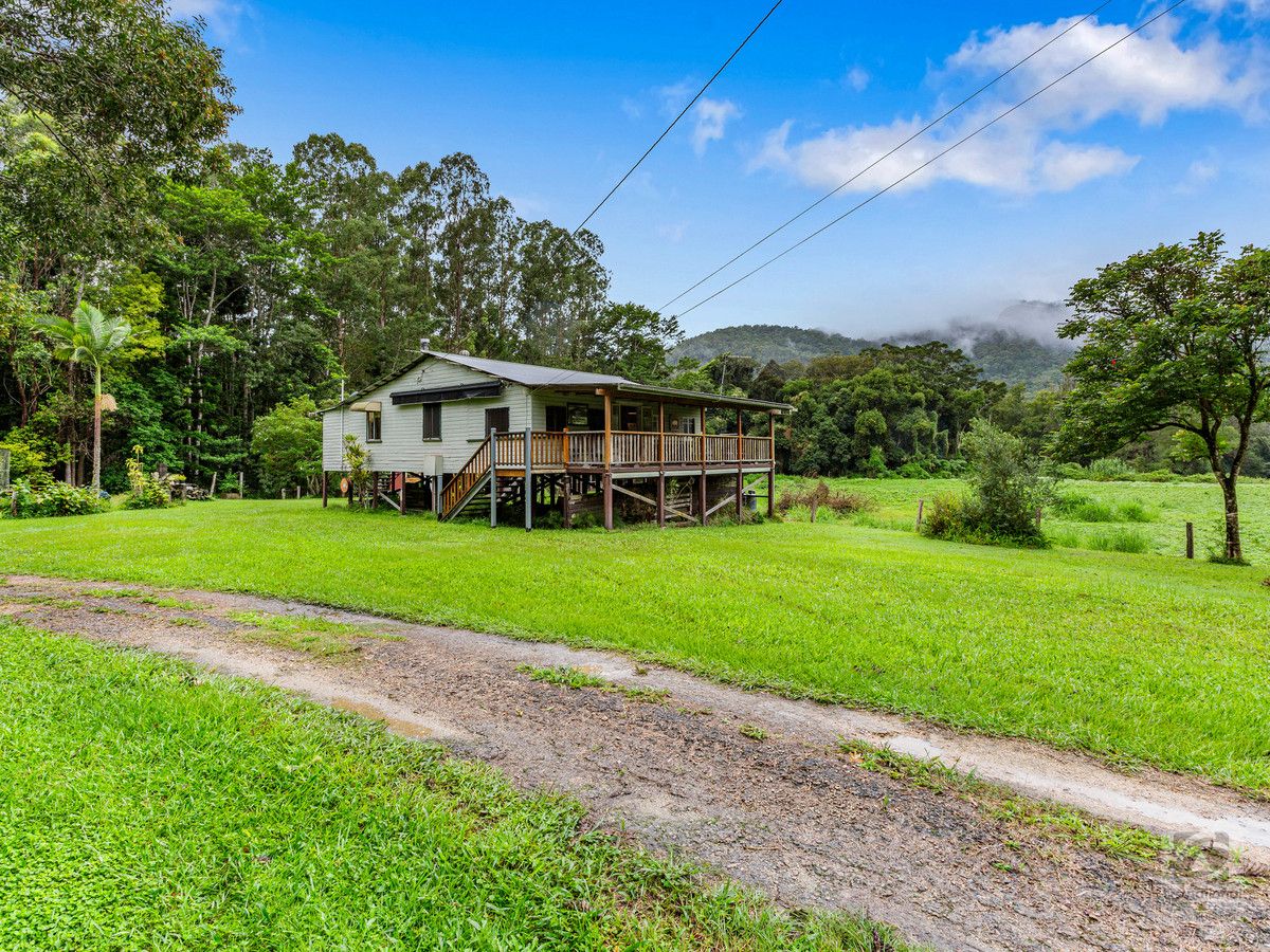 41 Solomons Road, Mount Warning NSW 2484, Image 0