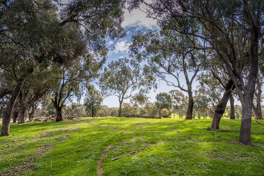 Lot 1 Fetrim Road, Earlston VIC 3669, Image 0