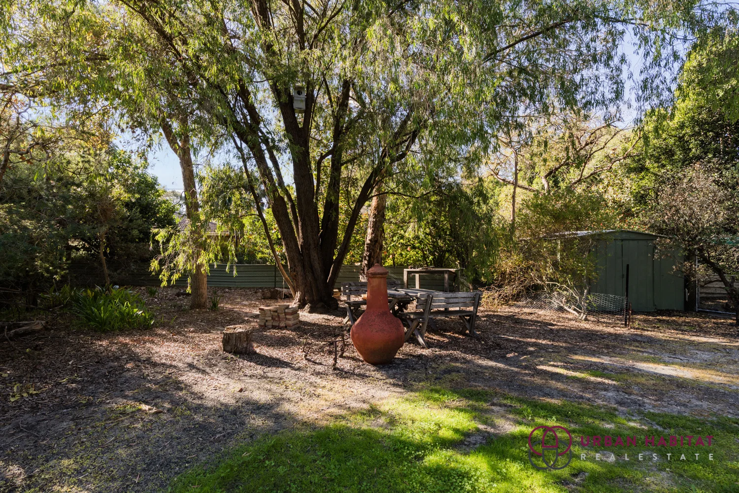 Image 19