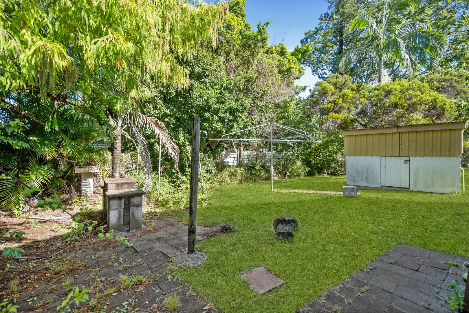 Image 12