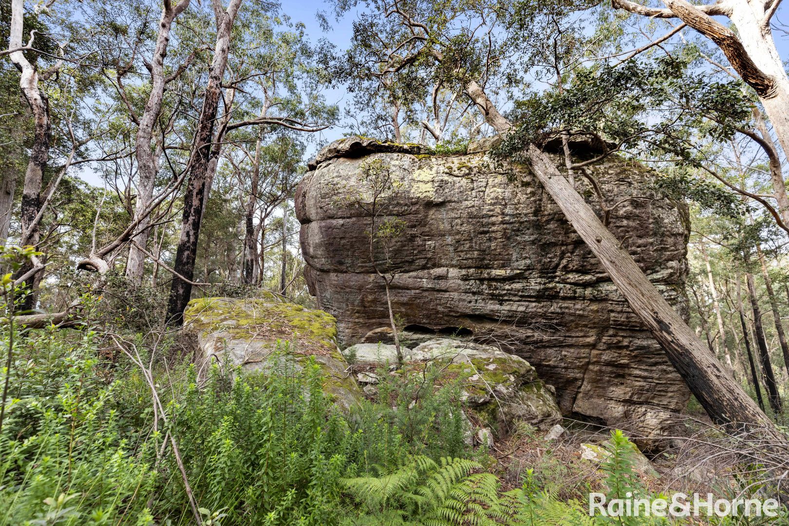 Lot 11 & 12 Croobyar Road, Mount Kingiman NSW 2539, Image 2