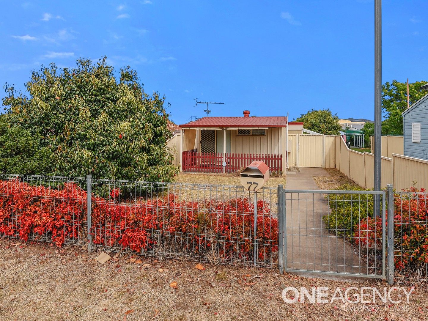 77 Henry Street, Werris Creek NSW 2341, Image 0