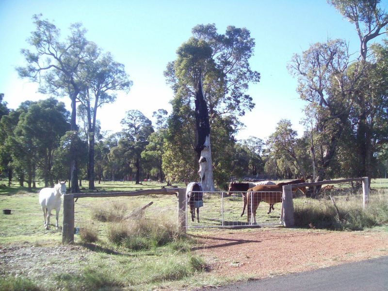 Lot 45 Steere Road, Allanson WA 6225, Image 0