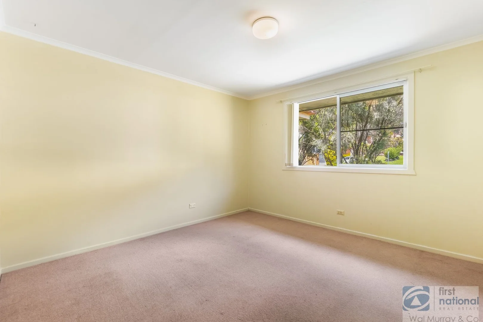 Additional image 6 of 11 Conte Street, East Lismore NSW 2480