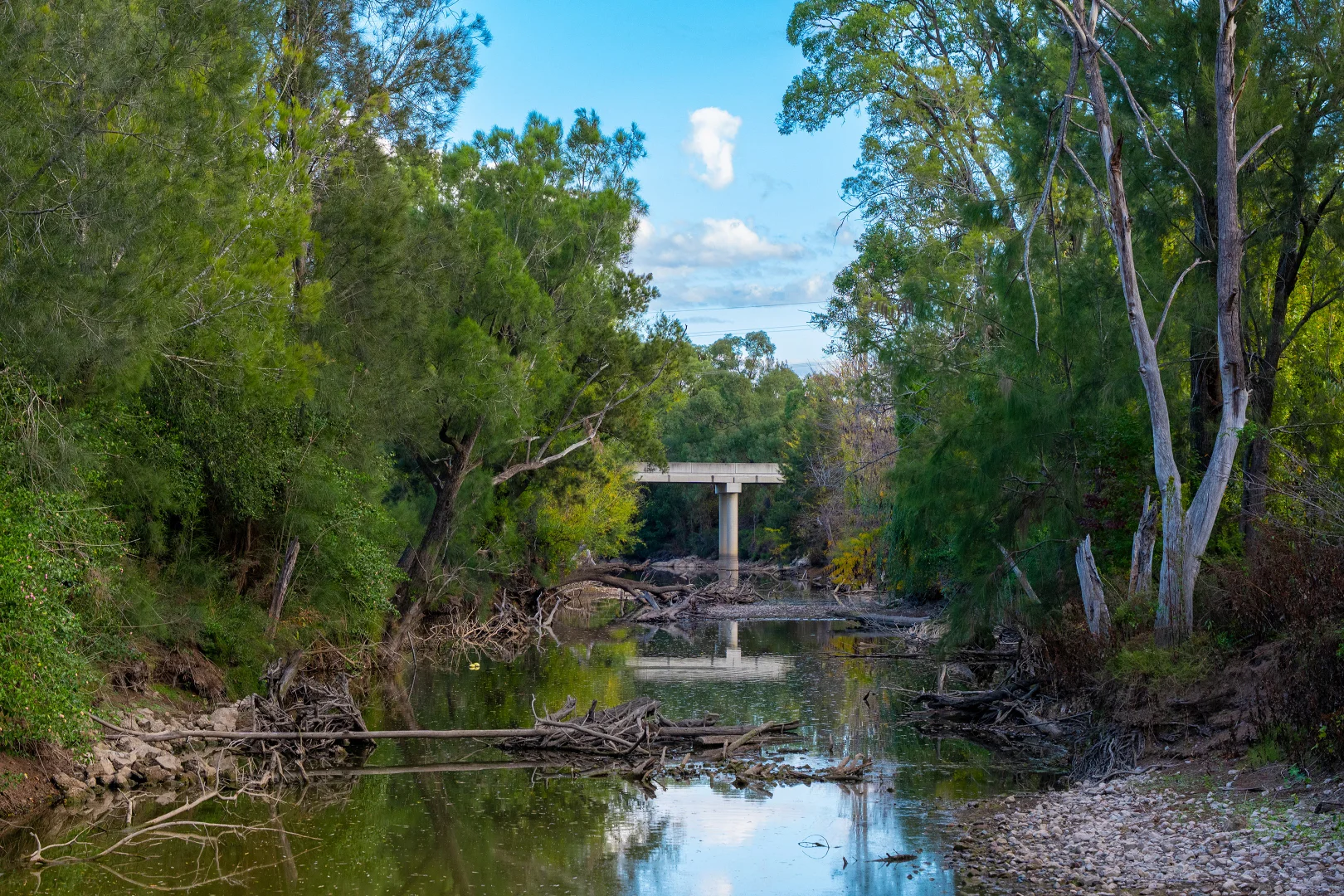 Image 45