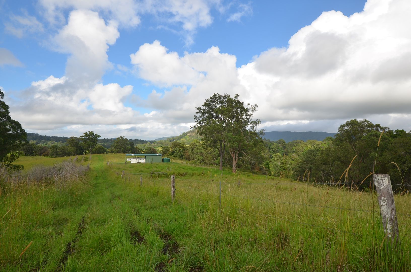 2 , 246 Billen Road, Georgica NSW 2480, Image 2