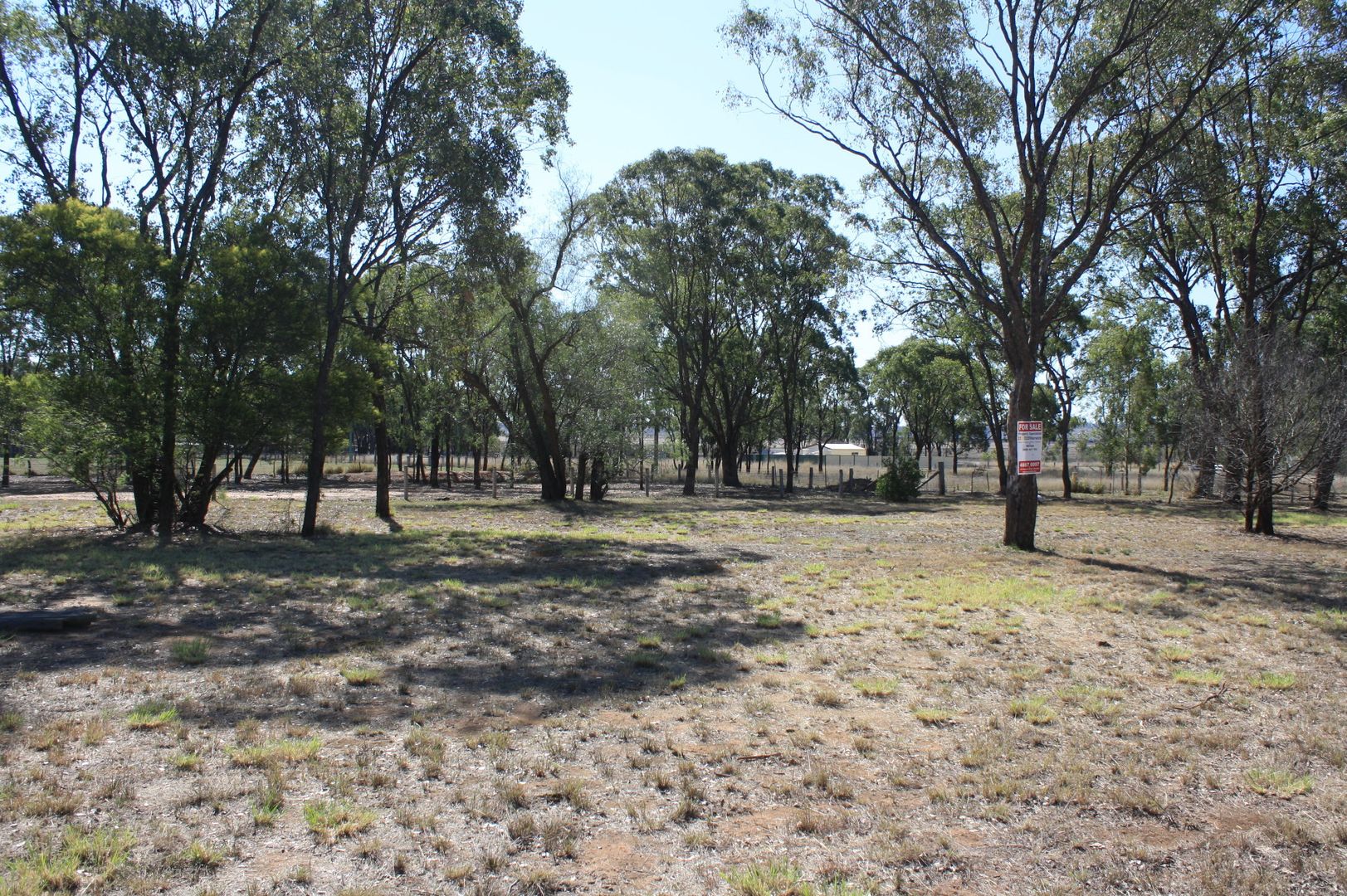 Lot 206 Allora Street, Hendon QLD 4362, Image 2